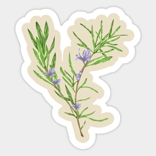 Rose Mary Plant Botanical Sticker